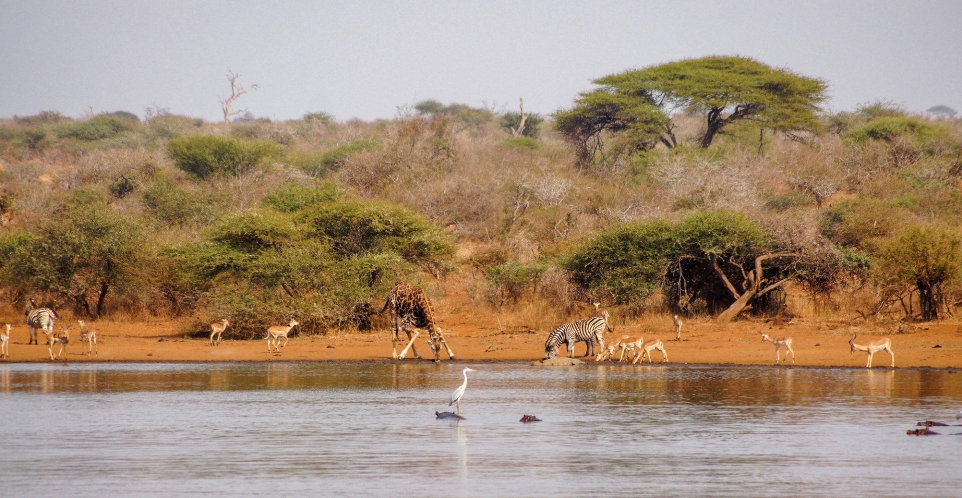 african-safari-tourist-attraction